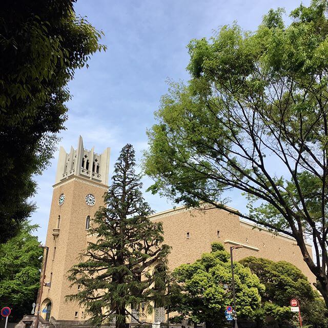 早稲田でレッスン。思わず母校の周囲をぷらぷら。色々綺麗になっておるφ(-ω- )#早稲田 #大隈講堂 #大学