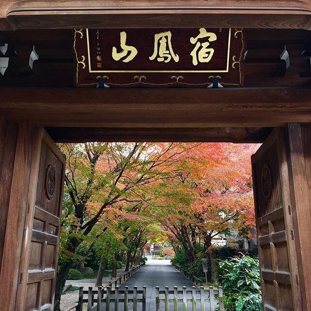 修理入院場所は寺の街。#寺 #temple #紅葉