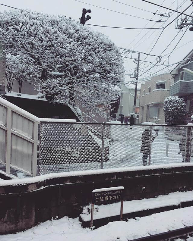 エライこっちゃ！！苦笑#雪 #東京