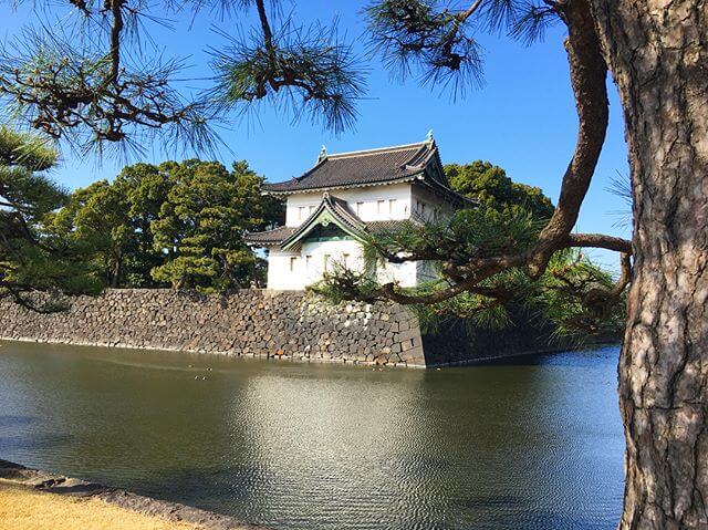 気持ち良ス⁽⁽٩(๑˃̶͈̀ ᗨ ˂̶͈́)۶⁾⁾ #皇居 #東京 #春 #空